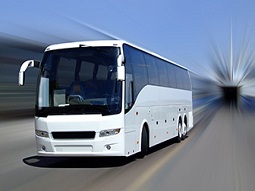 55 Passengers Coach Bus